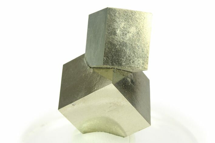 Shiny, Natural Pyrite Cube Cluster - Navajun, Spain #307068